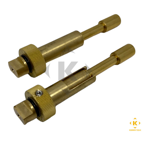 BMW Fuel Line Plugs (135160)